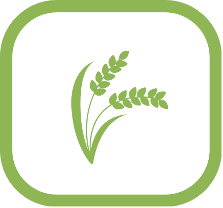 Produktivitas (Ton/Ha)